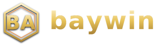 baywin logo